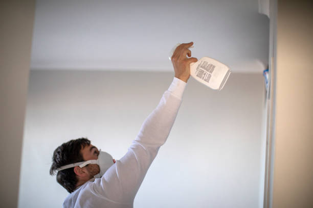 Best Black Mold Removal  in Menard, TX