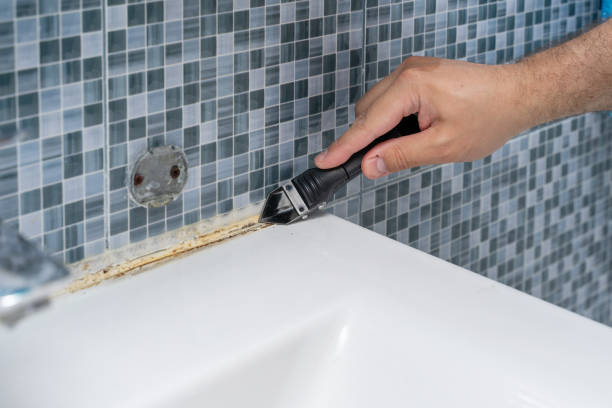 Best Mold Cleaning Services  in Menard, TX